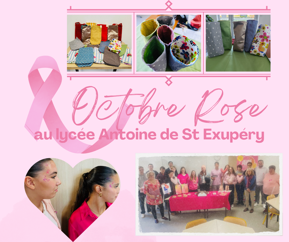 octobre rose2